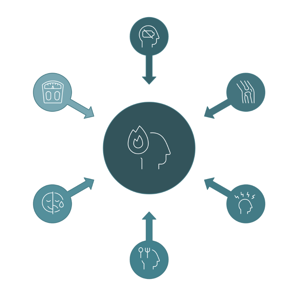 Aliments riche en Magn&eacute;sium 